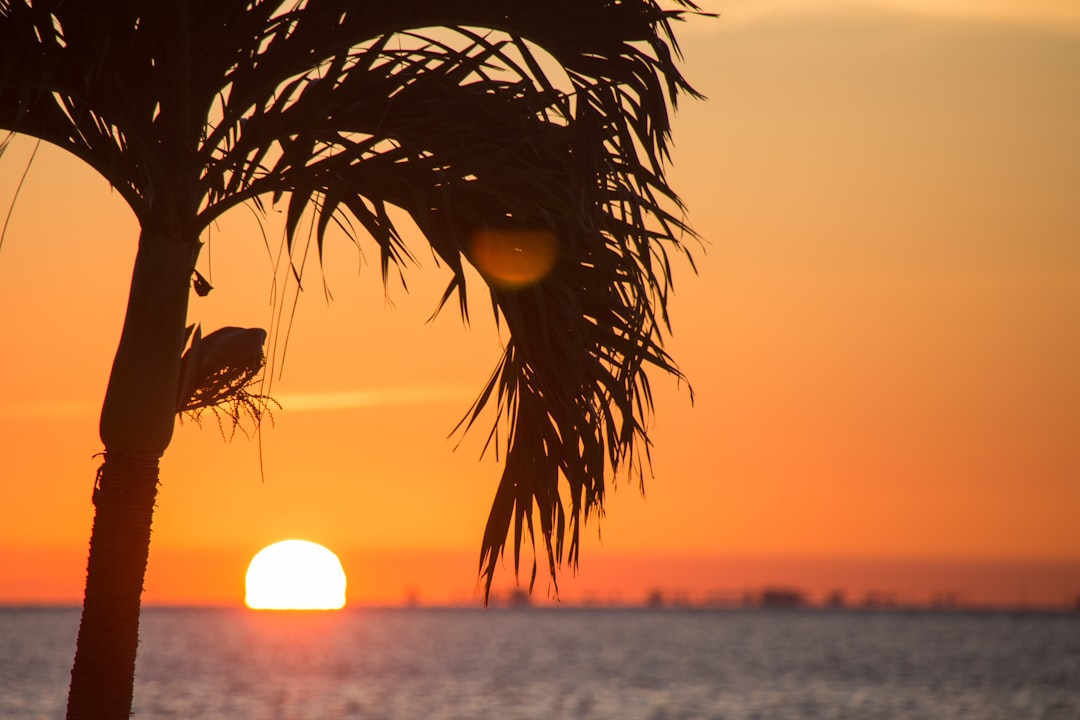 Photo Florida Keys